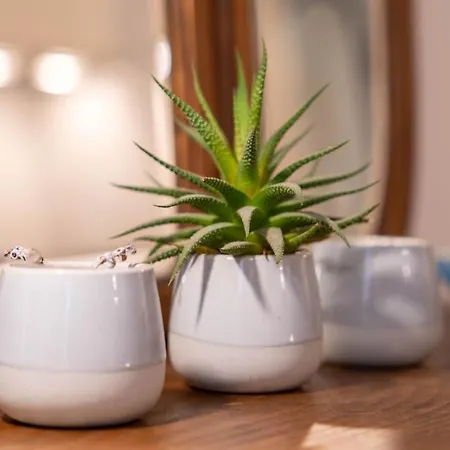 Apartment Taipas Tranquility: Cozy T0 By Lovelystay Porto