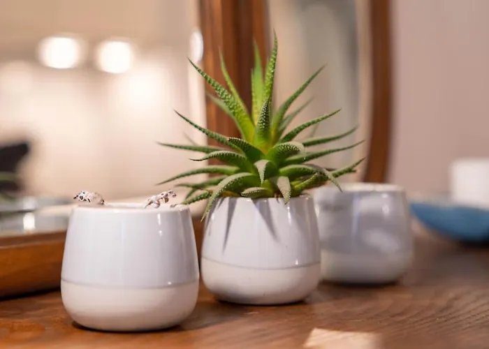 Apartmán Taipas Tranquility: Cozy T0 By Lovelystay Porto