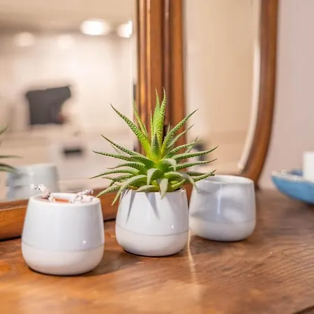 Taipas Tranquility: Cozy T0 By Lovelystay Apartment Porto