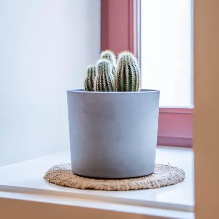 Apartment Taipas Tranquility: Cozy T0 By Lovelystay