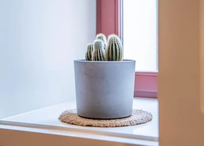 Appartement Taipas Tranquility: Cozy T0 By Lovelystay